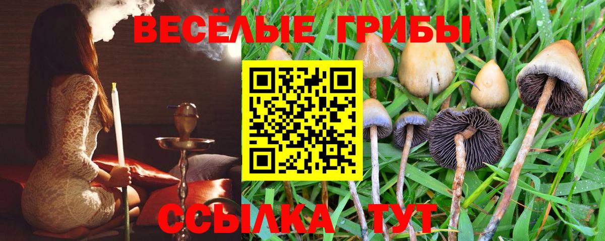 Галлюциногенные грибы мухоморы Всеволожск