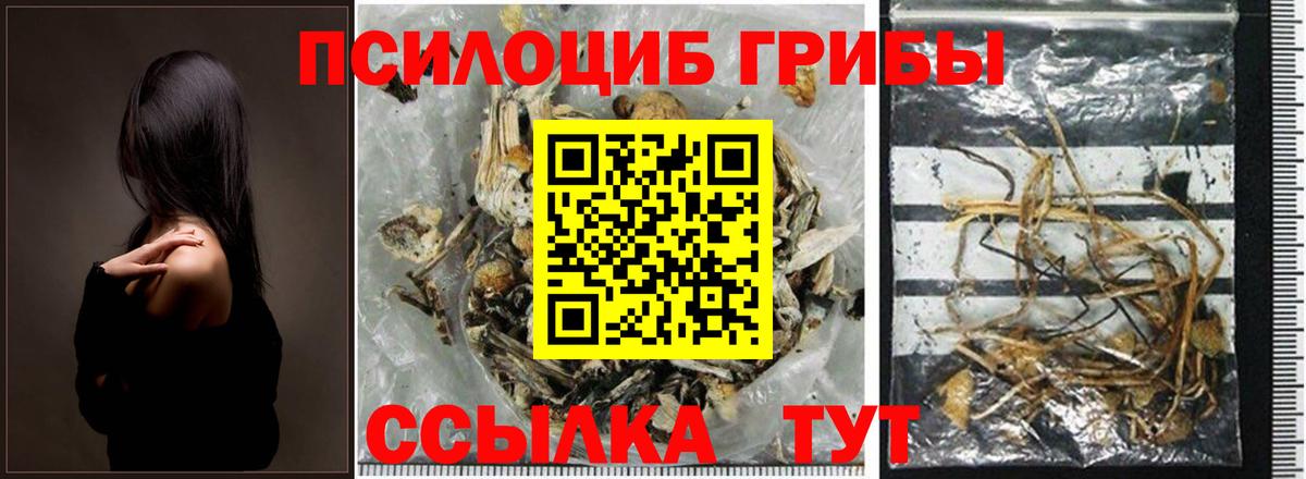 Всеволожск  что такое наркотик  Галлюциногенные грибы мухоморы  Вход с VPN  Галлюциногенные грибы MAGIC MUSHROOMS 
