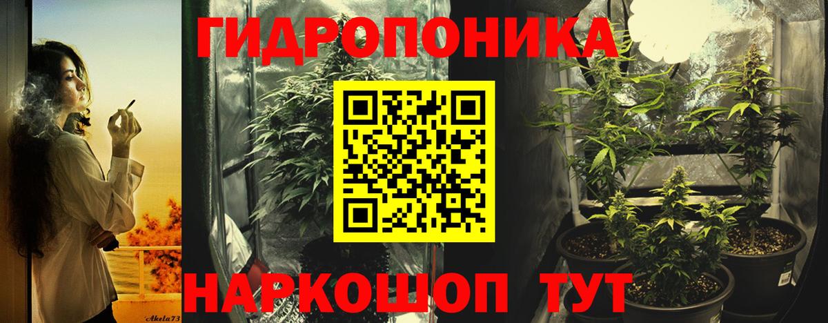 Всеволожск  Бошки Шишки THC 21%  Вход с VPN  Шишки марихуана ГИДРОПОН  Конопля THC 21%  Бошки Шишки OG Kush 